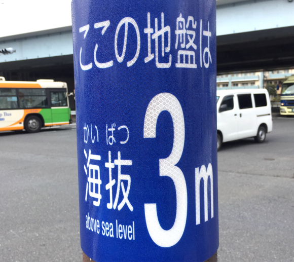 a0005331_11595742.jpg