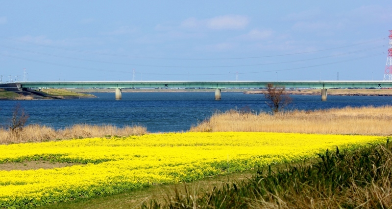 a0230831_14243068.jpg