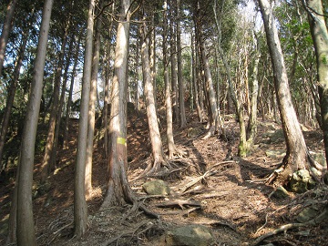 c0077338_19111474.jpg
