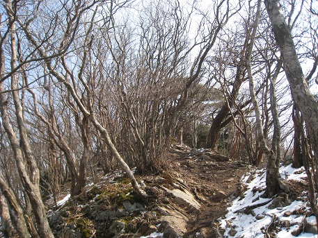 c0077338_19114448.jpg