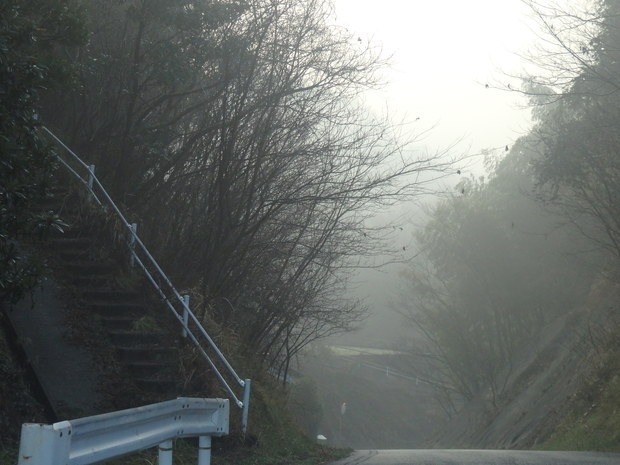 a0054240_20564530.jpg