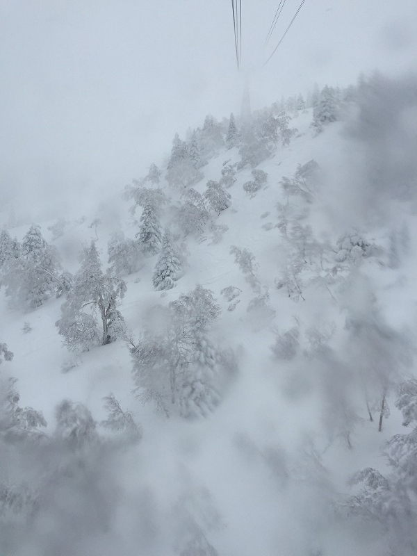 八甲田山樹氷_f0249443_5413389.jpg