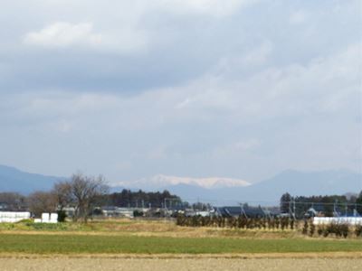 b0220251_17103699.jpg