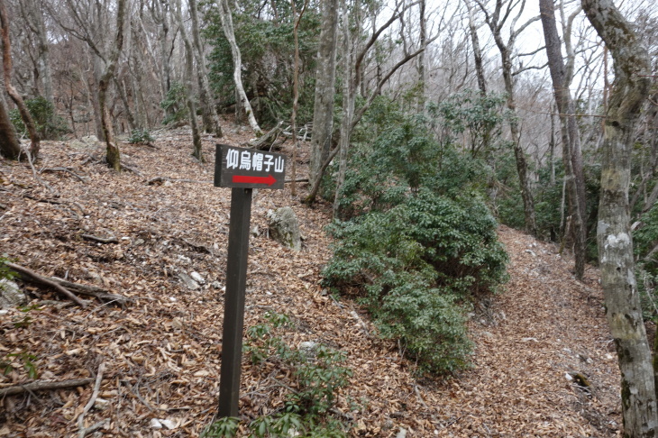 仰烏帽子山(山江村登山口から)_d0345153_20264124.jpg