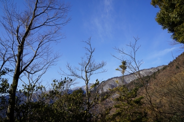 故郷のお山でリハビリ登山＠丹沢三峰～丹沢山　2016.02.27(土)_f0344554_23333551.jpg