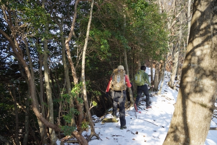 故郷のお山でリハビリ登山＠丹沢三峰～丹沢山　2016.02.27(土)_f0344554_23333566.jpg