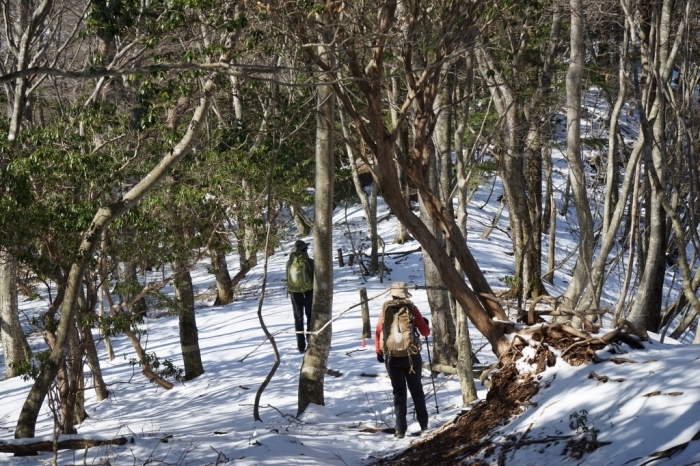 故郷のお山でリハビリ登山＠丹沢三峰～丹沢山　2016.02.27(土)_f0344554_23340519.jpg