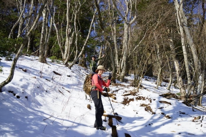 故郷のお山でリハビリ登山＠丹沢三峰～丹沢山　2016.02.27(土)_f0344554_23340610.jpg