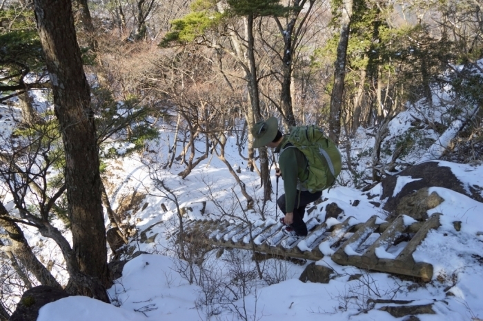 故郷のお山でリハビリ登山＠丹沢三峰～丹沢山　2016.02.27(土)_f0344554_23343001.jpg