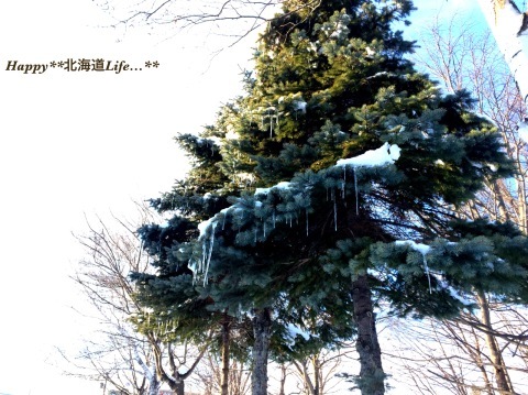 a0337860_22001362.jpeg