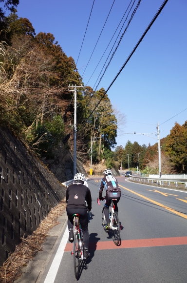 a0232368_14530341.jpeg