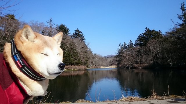 b0274270_12554343.jpg