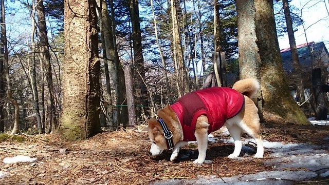 b0274270_1256011.jpg