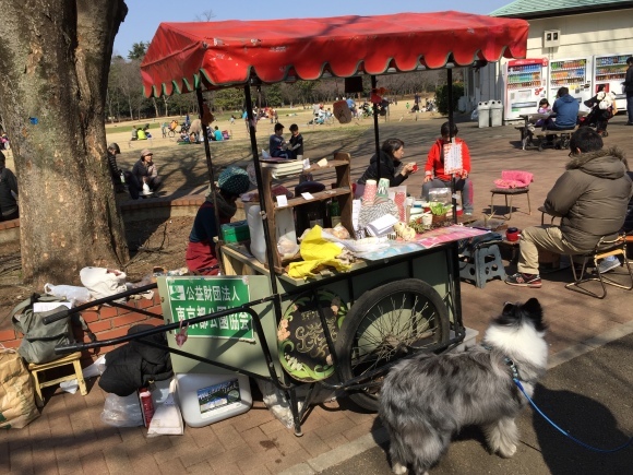 小金井公園。_e0169470_13311125.jpeg