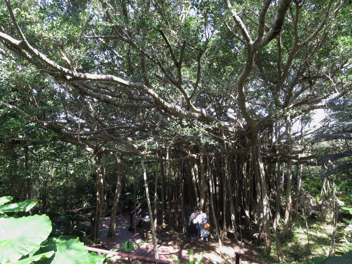 b0339488_20382256.jpg
