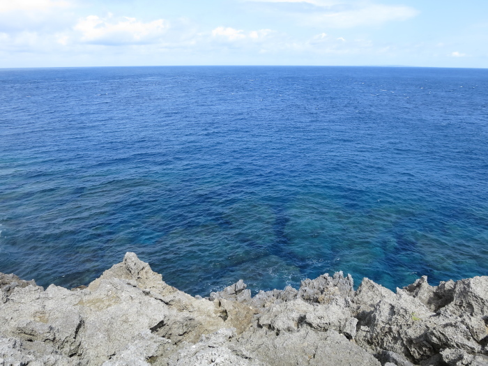 b0339488_20385737.jpg