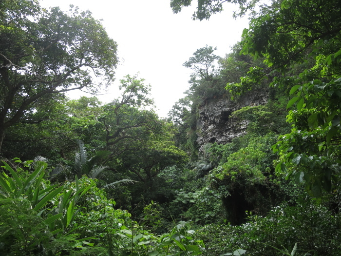 b0339488_22164644.jpg