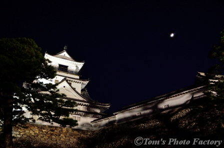 現存12天守を行く～丸亀城、高知城_b0155692_18492026.jpg