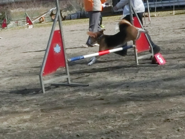 a0319693_8541183.jpg