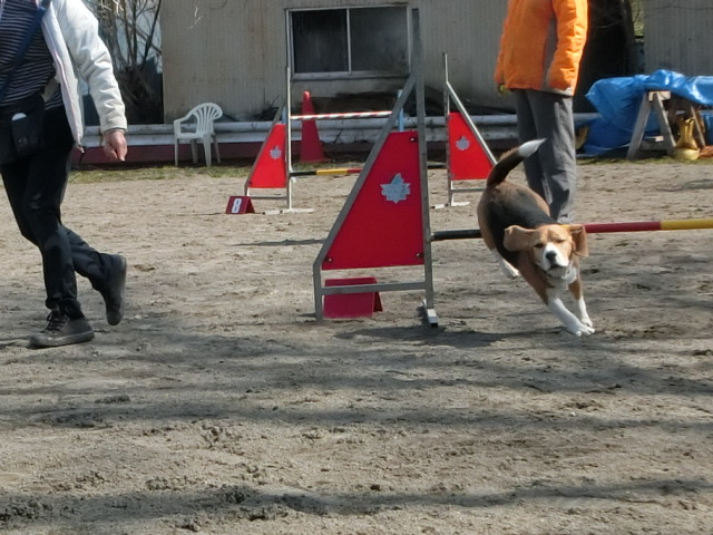 a0319693_855791.jpg