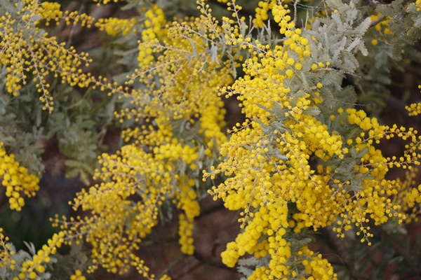 a0123003_169025.jpg