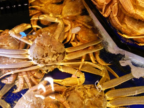 f0221708_16315493.jpg