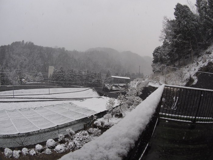 夕方、雪景色に!_c0116915_22253729.jpg