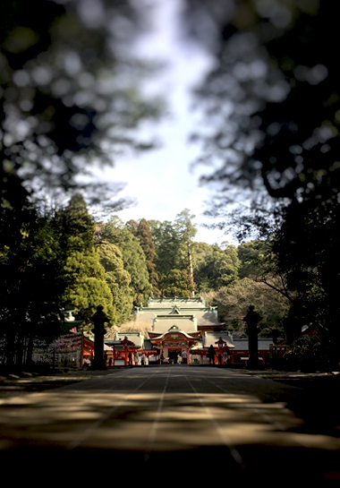 鹿児島の旅12. 宮崎経由で帰途につく_e0112226_16335911.jpg