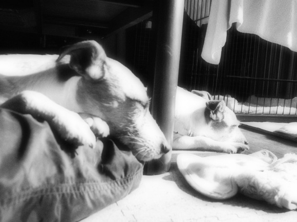 b0188228_22201154.jpeg