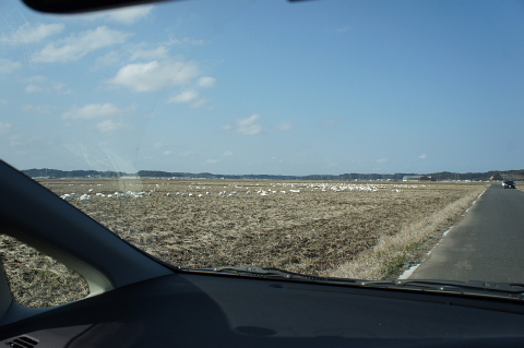 a0222229_25984.jpg