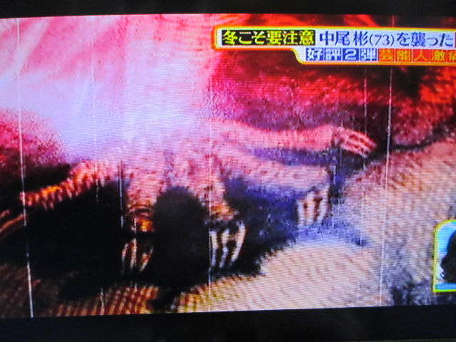 MBSのTV番組「サタデープラス」(2/20放送分)での私の作品使用ご報告☆_a0093332_9444017.jpg