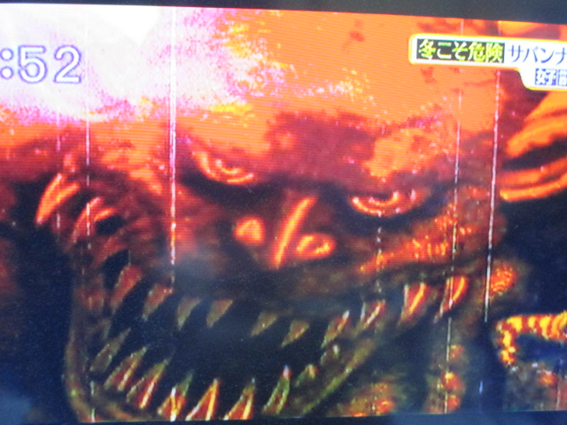 MBSのTV番組「サタデープラス」(2/20放送分)での私の作品使用ご報告☆_a0093332_9462224.jpg