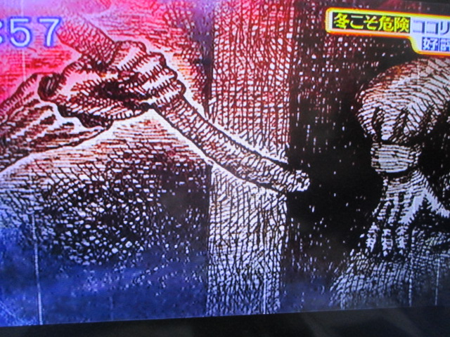 MBSのTV番組「サタデープラス」(2/20放送分)での私の作品使用ご報告☆_a0093332_9493067.jpg