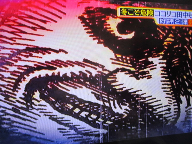 MBSのTV番組「サタデープラス」(2/20放送分)での私の作品使用ご報告☆_a0093332_949456.jpg