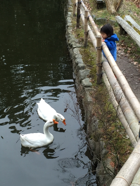 野呂さん_c0113733_23161333.jpg