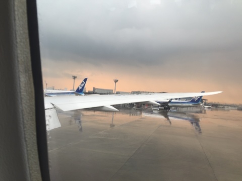 d0282139_13020871.jpeg