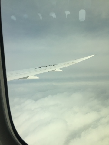 d0282139_13030295.jpeg