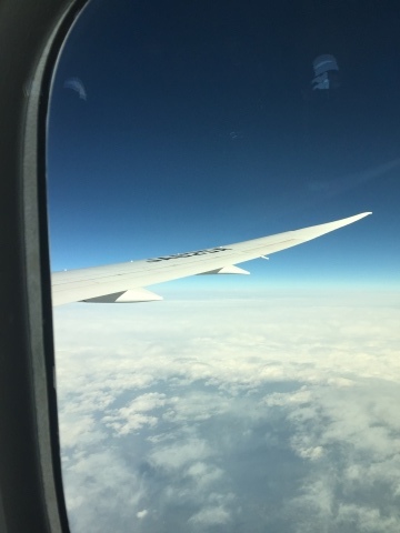 d0282139_13033734.jpeg