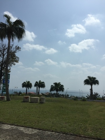 d0282139_13044402.jpeg