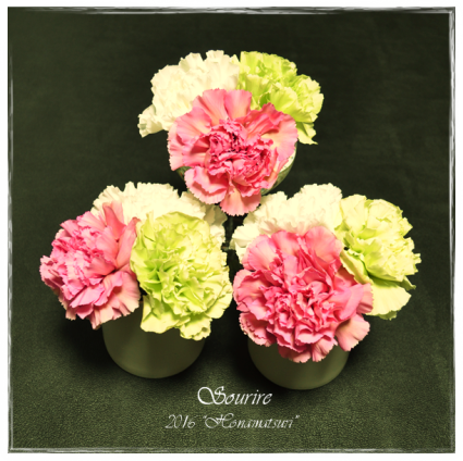 ひな祭り2016・お花編_c0350941_19400989.png