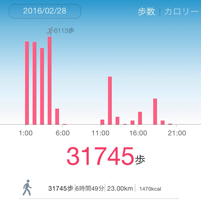 東京マラソンの日、ハーフマラソン分のウォーキング_c0060143_05252342.jpg