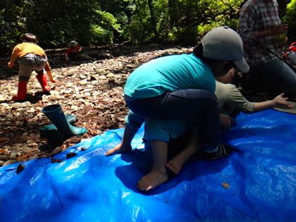 5月4週 虫愛ずる子ら_e0256851_22201770.jpg