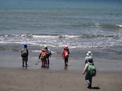 5月4週 虫愛ずる子ら_e0256851_22493190.jpg