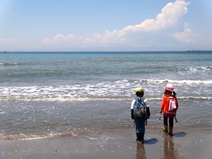 5月4週 虫愛ずる子ら_e0256851_22494895.jpg