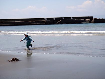 5月4週 虫愛ずる子ら_e0256851_2250454.jpg