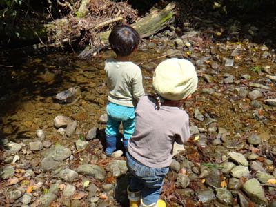 5月4週 虫愛ずる子ら_e0256851_2381493.jpg