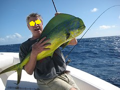 a0280653_10135211.png
