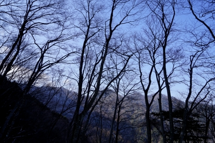 故郷のお山でリハビリ登山＠丹沢三峰～丹沢山　2016.02.27(土)_f0344554_10590748.jpg