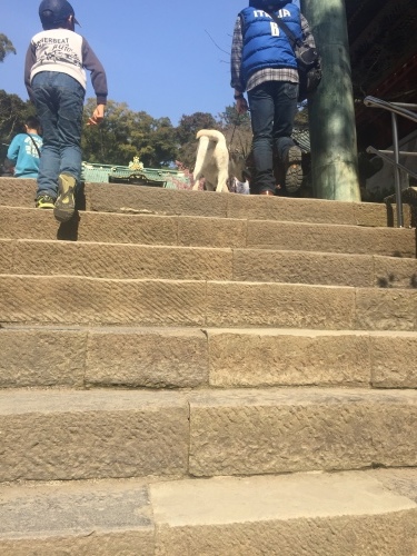d0326056_17015189.jpeg