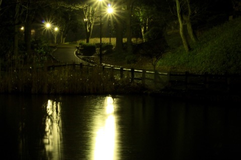 a0248459_20121982.jpg